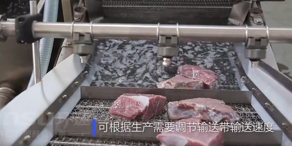 鲜食清洗机-肉食系列 肉食翻洗机设备