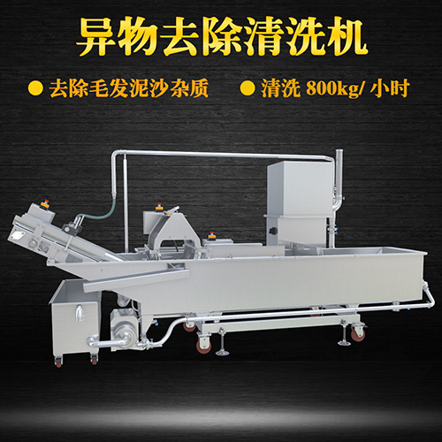 凉粉物料清洗机，清洗800kg小时，凉粉物料清洗机
