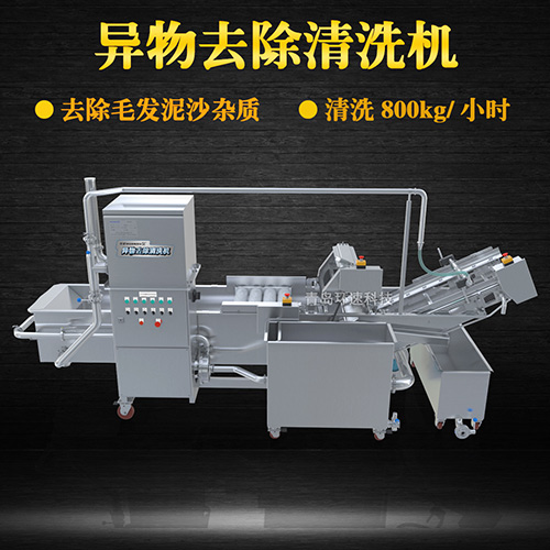全自动果蔬清洗机，清洗800kg小时，全自动果蔬清洗机
