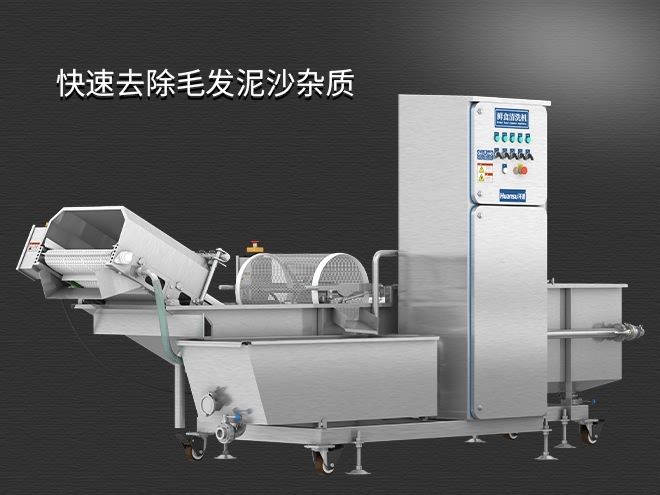 果蔬清洗机制造厂家，气泡清洗，清洗800kg/小时