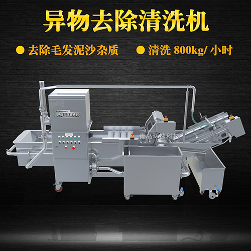 果蔬清洗机设备，气泡清洗，清洗800kg小时